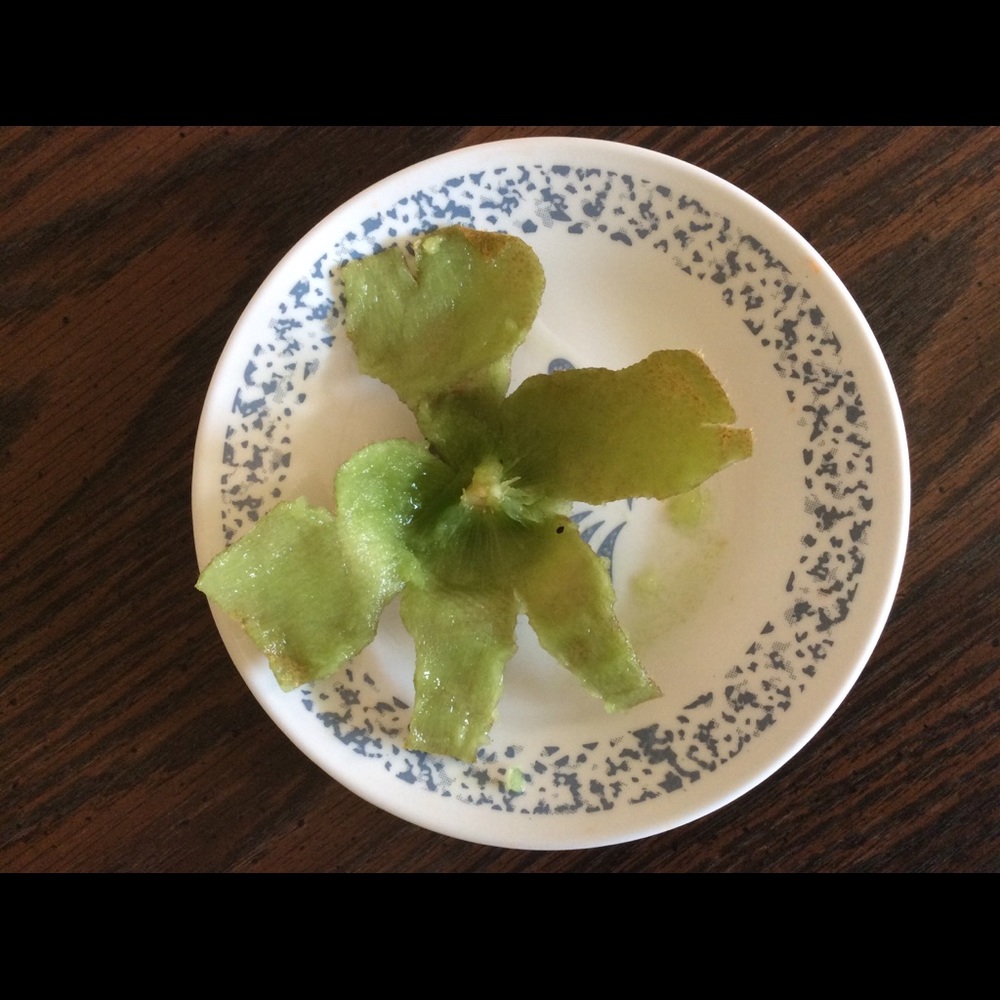 The Fate Of A Tasty Kiwi Fruit by ME 😁😯